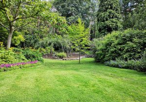 Optimiser l'expérience du jardin à Saint-Germain-de-la-Grange